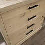 Sauder Aspen Post 2-Drawer Lateral File Cabinet, Letter/Legal Size, Lockable, 30"H x 31"W x 19"D, Prime Oak (427013)~#|#~D51ACE6D-B050-4132-A715195B71528876_sc7