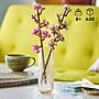 LEGO Botanicals Cherry Blossoms, 430 Pieces (40725)~#|#~D526C16B-E9D9-4D09-B54D6B3C75C145D6_sc7