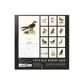 2023 Grupo Erik Vintage Birds 11.8" x 11.8" Monthly Wall Calendar (CPUS2319)