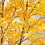 Nearly Natural 9' Autumn Maple Artificial Fall Tree (T4812)~#|#~D53EA041-8B7F-48D5-84EE4CA879043A31_sc7