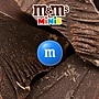 M&M's Minis Milk Chocolate Pieces, 1.08 oz., 24/Box (209-00061)~#|#~D5454219-1AD4-4AD7-BBD8A94E65250327_sc7