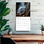 2026 BrownTrout Texas Wild & Scenic 12" x 12" Monthly Wall Calendar (9798330705825)~#|#~D5534F9B-5AEA-4700-A5B2CCDB0492FAB4_sc7
