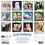 2027 Willow Creek Kittens 12" x 12" Monthly Wall Calendar, Assorted Colors (60933)~#|#~D554E143-2151-4DA7-96F6A326C6A6ABD3_sc7