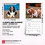2027 BrownTrout Basset Hounds 7" x 7" Monthly Wall Calendar, Assorted Colors (9798330714094)~#|#~D5AC744C-775B-459A-9CA14C08B12E98C2_sc7