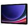Samsung Galaxy Tab S9 Galaxy Tab 11" Tablet with S-Pen, WiFi, 128GB, Android, Graphite (SM-X710NZAAXAR)~#|#~D5C1E40C-EFBD-4835-80E28461E2A544F2_sc7