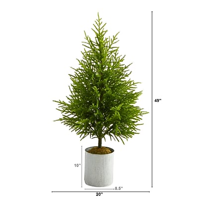 Norfolk Island Pine Natural Look Artificial Tree - Thumbnail 4