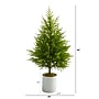 Nearly Natural Norfolk Island Pine Natural Look Artificial Tree, 49" (T1509)~#|#~D5C8FBEF-B3A6-4BFF-A5C3C6415E7A9B19_sc7