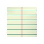 Ampad Steno Pad, 6" x 9", Gregg Ruled, White, 80 Sheets/Pad (25-274)~#|#~D5CB7F6A-586E-49A3-961D7157629E3936_sc7