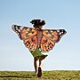 Insect Lore Dress-Up Painted Lady Butterfly Wings, Multicolored (ILP4800)~#|#~D5CD9F93-D311-48D8-BD3EB693AD952953_sc7