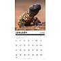 2027 Willow Creek Scales 12" x 12" Monthly Wall Calendar (62159)~#|#~D5D48163-05AC-41CE-BC155C822684E2DB_sc7