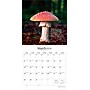 2026 Brush Dance Magic Mushrooms 12" x 12" Monthly Wall Calendar (9798330706570)~#|#~D5DE7786-B3F4-40A7-9276CC18FE676D2C_sc7