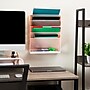 Mind Reader 5-Pocket Plastic Mountable Wall File, Letter Size, Pink (WALLANCH-PNK)~#|#~D5E46683-21BC-49E3-A7559661062B02AC_sc7