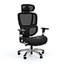 Staples Hyken Pro Ergonomic Mesh Swivel Task Chair, Black (ST63228)~#|#~D5E5C15E-FFEA-4A62-B25290AC24A8C7A7_sc7