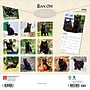 2026 BrownTrout Black Cats 12" x 12" Monthly Wall Calendar (9798330702480)~#|#~D5F51493-44A9-43AE-8C30E1E30821C040_sc7