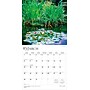 2026 BrownTrout Monet's Garden 12" x 12" Monthly Wall Calendar (9798330704675)~#|#~D612CA47-D83F-45A8-A0E1CB3D92783339_sc7