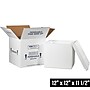 12" x 12" x 11.5" Insulated Shipping Containers, White (230C)~#|#~D6196F4E-2793-458B-A846AE5ECCD9309C_sc7