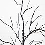 Nearly Natural Pre-Lit Halloween Black Twig Artificial Tree, 3' (T5165)~#|#~D61F40B1-2E31-40B3-BB84511BD34E1822_sc7