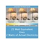 Viribright 2-Watts Daylight LED Bulb, Dozen (74566-12)~#|#~D625A20A-FC63-4807-84B68816133961C7_sc7