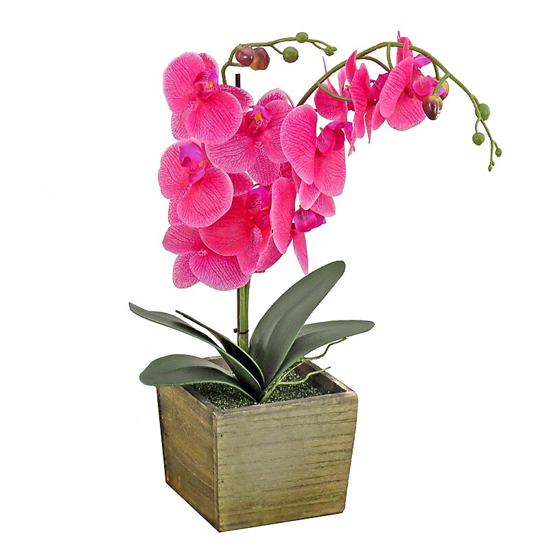 National Tree Company 21" Purple Orchid Flower in Wood Box (MT81-PH0354PPR) image 1