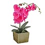 National Tree Company 21" Purple Orchid Flower in Wood Box (MT81-PH0354PPR)~#|#~D62C58D7-7788-48C9-9FF6D572AEC51687_sc7