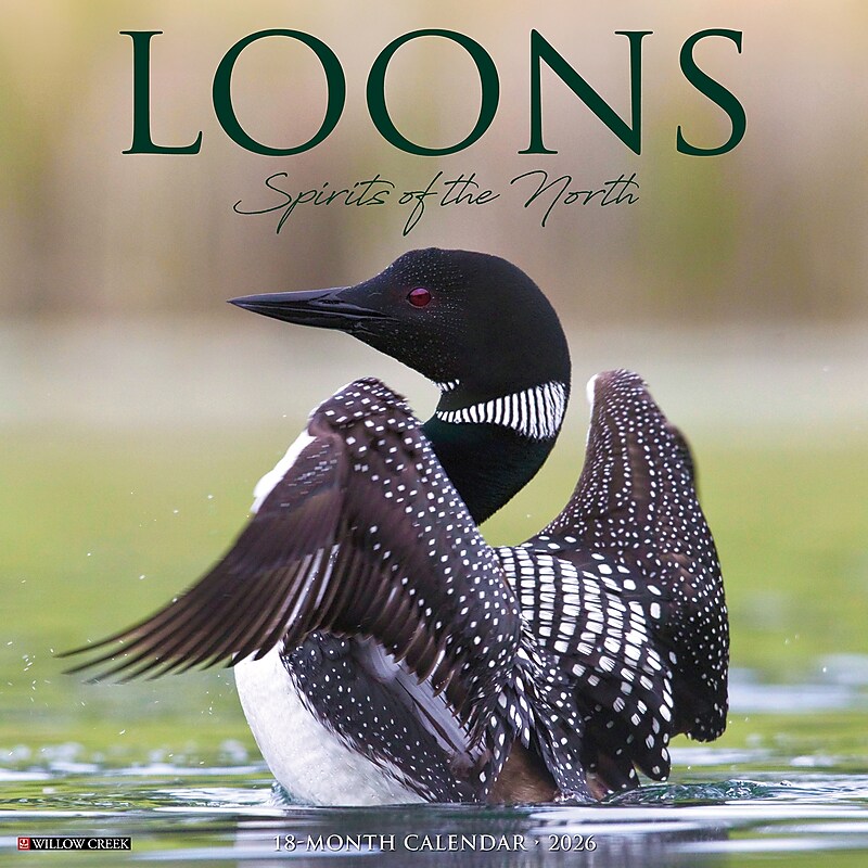 2026 Willow Creek Loons 12" x 12" Monthly Wall Calendar (51832) image 1