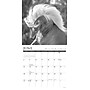 2027 Willow Creek Spirit of the Horse 12" x 12" Monthly Wall Calendar, Assorted Colors (65389)~#|#~D65C5E42-7EC0-4ADD-9F4B08A5B728EBDC_sc7