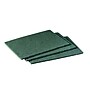 Scotch-Brite General Purpose Scouring Pad, Green, 60/Carton (96)~#|#~D6647FAB-61F9-449C-9411D52D1DEA0522_sc7
