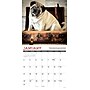 2027 Willow Creek Multi 12" x 12" Monthly Wall Calendar, Assorted Colors (61923)~#|#~D666524C-0666-45A0-A127E0871864C12A_sc7