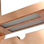 Elegant Designs 2 Light LED Overhead Wine Rack, Copper (WR1000-CPR)~#|#~D670B6AD-A585-4BBF-AFC22410E8CEDD5B_sc7