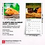 2027 BrownTrout Guinea Pigs 7" x 7" Monthly Wall Calendar, Assorted Colors (9798330709793)~#|#~D6759DE2-9374-40D5-85F79675DB729AAA_sc7