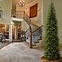 National Tree Company Kingswood Fir Artificial Christmas Tree (KW7-500-120)~#|#~D68823E4-BFDF-423F-8924C9D97728464F_sc7