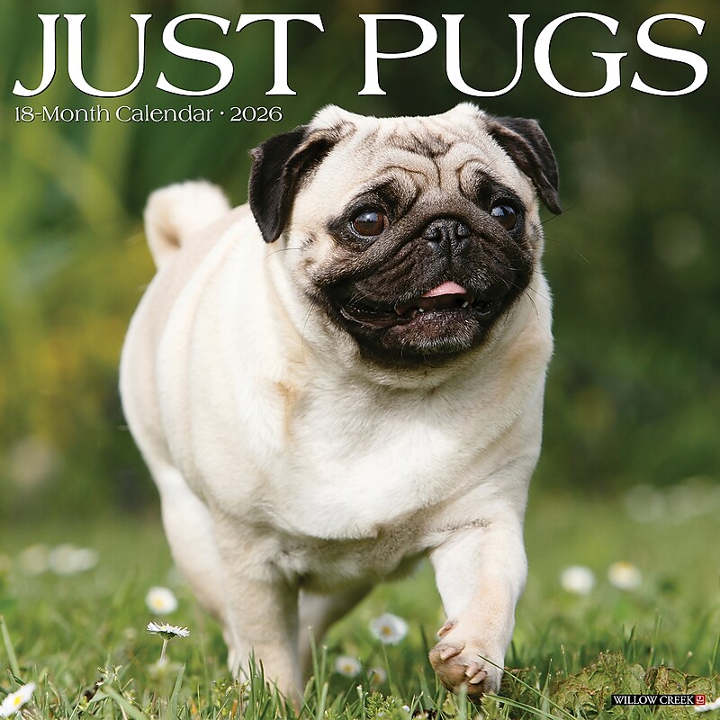 2026 Willow Creek Pugs 12" x 12" Monthly Wall Calendar (52501) image 1