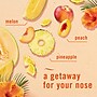 Febreze Fade Defy Plug Air Freshener Warmer Refill, Hawaiian Aloha Scent, 0.87 fl. oz., 3/Pack (54345)~#|#~D6A294F2-D4C3-459C-93CAC2A94CD44C4A_sc7