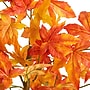Nearly Natural 6' Autumn Deluxe Maple Artificial Fall Tree (T4745)~#|#~61951169-0498-449D-989D5139597B36AB_sc7