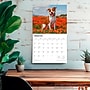 2026 BrownTrout American Pit Bull Terriers 14" x 12" Monthly Wall Calendar (9798330707867)~#|#~D6A8D841-C23C-4D23-ABA6D15049618B9A_sc7