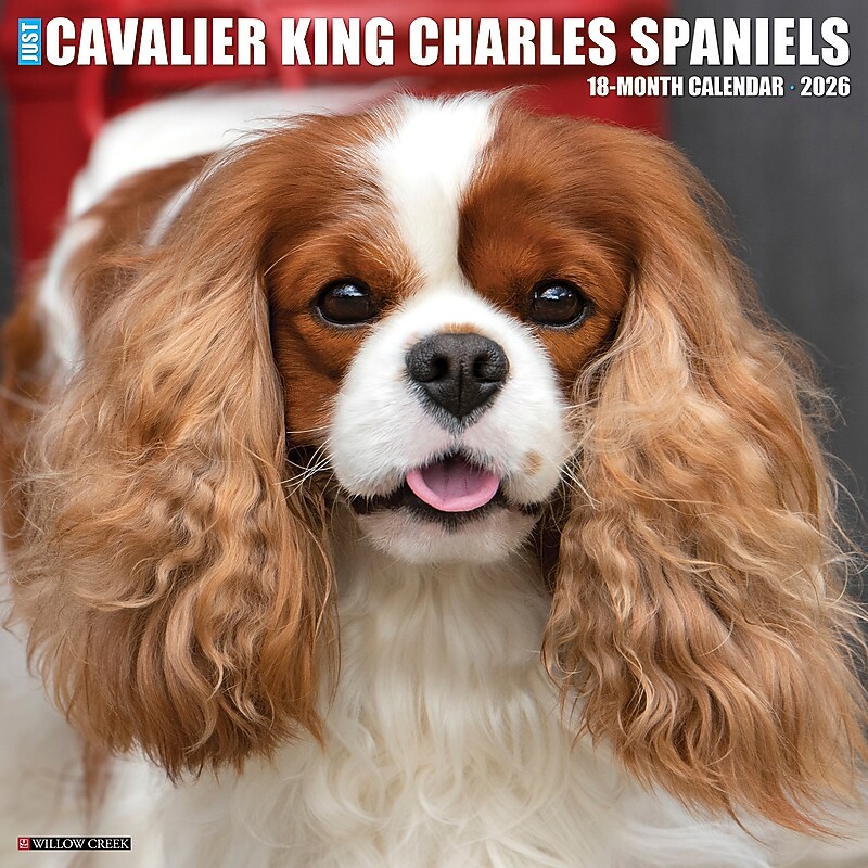2026 Willow Creek Cavalier King Charles Spaniels 12" x 12" Monthly Wall Calendar (50651) image 1