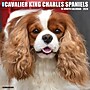 2026 Willow Creek Cavalier King Charles Spaniels 12" x 12" Monthly Wall Calendar (50651)~#|#~D6BC5CE1-EB59-4AD3-9A48D99D7C1F7A63_sc7