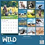 2026 TF Publishing Wild 12" x 12" Monthly Wall Calendar, Multi (26-1032)~#|#~D6BE0D00-1481-46C9-B8EC53CA9AD91566_sc7