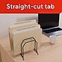 Staples 30% Recycled File Folders, Single Tab, Letter Size, Manila, 100/Box (ST56676-CC)~#|#~D6CF273E-891D-4A4D-8772A152E1276336_sc7