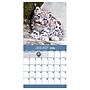 2026 TF Publishing 12" x 17" TF Publishing 7" x 7" TF Publishing 7" x 7" Baby Animals Mini Calendar 26-2000~#|#~D6DD250A-9168-4630-B434485F7595697A_sc7