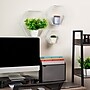 Mind Reader Metal Honeycomb Hexagon Floating Shelves, White, 3/Set (WALL3PC-WHT)~#|#~D6DF923A-7A92-4FFA-8331AAE694D539E8_sc7