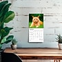 2026 BrownTrout Cat Lovers 7" x 7" Monthly Wall Calendar (9798330702770)~#|#~D6F4FF34-5179-4F05-8D84F18FFE885BA2_sc7
