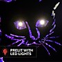 Haunted Hill Farm 3-Ft. Metal Black Cat Decoration with LED Eyes, Indoor & Covered Outdoor, Battery Operated (HHMT036CAT-BLK)~#|#~D7025260-AC15-4523-869C5087DB37FF28_sc7