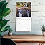 2027 BrownTrout Maine Wild & Scenic 12" x 12" Monthly Wall Calendar (9798330710652)~#|#~D702CF47-3A48-4C37-B4ECF800C49F28F5_sc7
