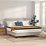 Flash Furniture Capri Comfortable Sleep 12" Hybrid Pocket Spring Mattress, King (CLFR23112K)~#|#~D70885E7-7CF5-4C54-90A9B488C71D9E3A_sc7
