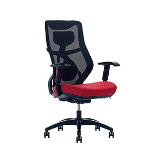 Beautyrest Duo-EX Ergonomic Mesh Swivel Computer Chair, Red (60051-RED)