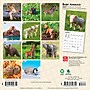 2027 BrownTrout Baby Animals 7" x 7" Monthly Wall Calendar, Assorted Colors (9798330709755)~#|#~D711EAA6-15FF-4068-A6A0F99B02E7FF74_sc7