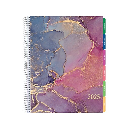 Staples 2025 Weekly/Monthly Planner 