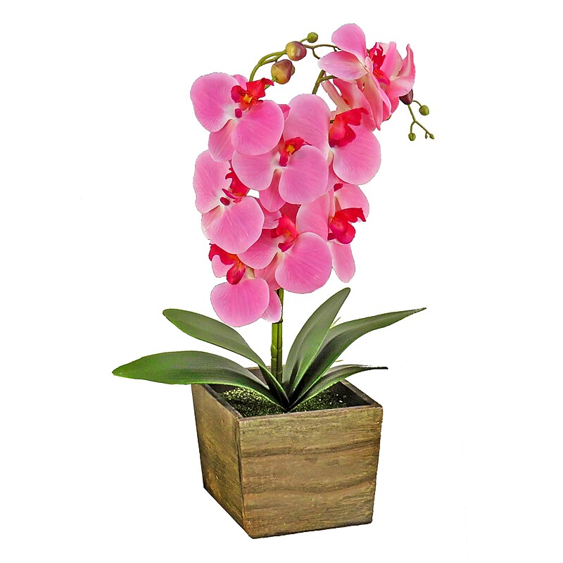 National Tree Company 21" Pink Orchid Flower in Wood Box (MT81-PH0354PPK) image 1