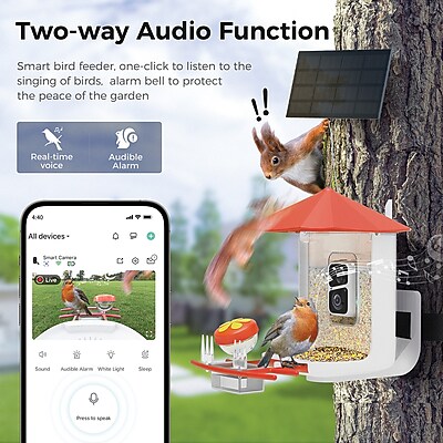 PerchMe Smart Bird Feeder with Camera - Thumbnail 2
